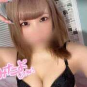 ヒメ日記 2025/11/08 07:45 投稿 るい 若葉