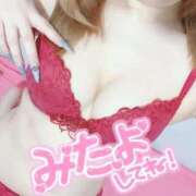 ヒメ日記 2025/11/17 09:05 投稿 るい 若葉