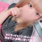 ヒメ日記 2025/11/23 08:42 投稿 るい 若葉