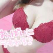 ヒメ日記 2025/11/25 09:35 投稿 るい 若葉