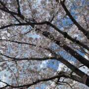 ヒメ日記 2025/04/06 22:17 投稿 このえ マリン宮殿雄琴店