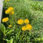 ヒメ日記 2025/04/14 10:17 投稿 このえ マリン宮殿雄琴店