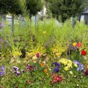 ヒメ日記 2025/04/19 20:19 投稿 このえ マリン宮殿雄琴店