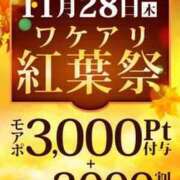 ヒメ日記 2024/11/28 17:34 投稿 吉沢 新宿人妻城