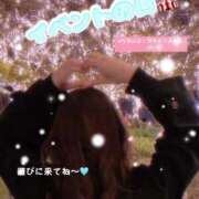 ヒメ日記 2024/12/16 21:29 投稿 りん チェックイン素人専門大人女子