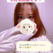 ヒメ日記 2025/04/14 09:59 投稿 りん チェックイン素人専門大人女子