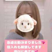 ヒメ日記 2025/04/24 06:09 投稿 りん チェックイン素人専門大人女子