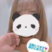 ヒメ日記 2025/04/25 13:09 投稿 りん チェックイン素人専門大人女子