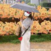 ヒメ日記 2025/08/12 22:09 投稿 りん チェックイン素人専門大人女子