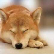 ヒメ日記 2025/05/23 17:33 投稿 岡田ゆい 変態素人嬢ダダモーレ弐号店