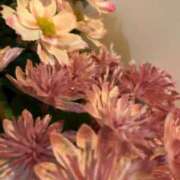 ヒメ日記 2025/06/18 15:31 投稿 岡田ゆい 変態素人嬢ダダモーレ弐号店