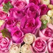 ヒメ日記 2025/03/19 16:31 投稿 もえ プールサイド新橋店