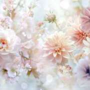 ヒメ日記 2025/03/28 14:01 投稿 もえ プールサイド新橋店