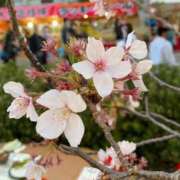 ヒメ日記 2025/04/07 12:30 投稿 りお ぽちゃSPA