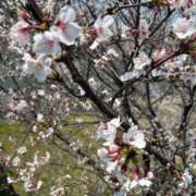 ヒメ日記 2025/04/19 22:32 投稿 りお ぽちゃSPA