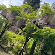 ヒメ日記 2025/06/21 09:14 投稿 りお ぽちゃSPA