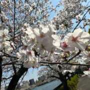 ヒメ日記 2025/09/20 11:17 投稿 りお ぽちゃSPA