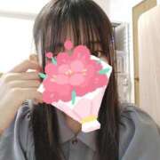 ヒメ日記 2025/08/05 11:45 投稿 ゆきの 秋葉原ハンドメイド