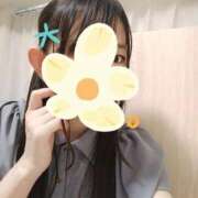 ヒメ日記 2025/08/25 11:03 投稿 ゆきの 秋葉原ハンドメイド