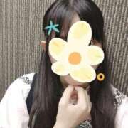 ヒメ日記 2025/09/04 11:00 投稿 ゆきの 秋葉原ハンドメイド