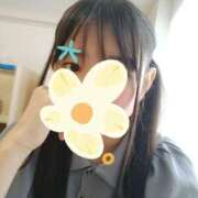 ヒメ日記 2025/09/17 11:09 投稿 ゆきの 秋葉原ハンドメイド