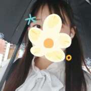 ヒメ日記 2025/10/04 11:30 投稿 ゆきの 秋葉原ハンドメイド