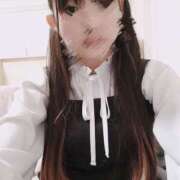 ヒメ日記 2025/11/14 11:22 投稿 ゆきの 秋葉原ハンドメイド