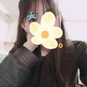 ヒメ日記 2025/11/28 13:25 投稿 ゆきの 秋葉原ハンドメイド