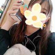 ヒメ日記 2025/11/29 13:40 投稿 ゆきの 秋葉原ハンドメイド