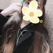 ヒメ日記 2025/12/16 11:34 投稿 ゆきの 秋葉原ハンドメイド