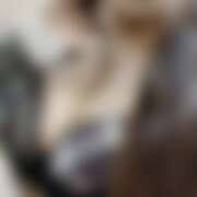 ヒメ日記 2025/12/22 12:59 投稿 ゆきの 秋葉原ハンドメイド