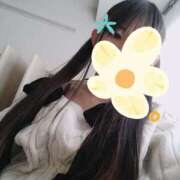 ヒメ日記 2025/12/30 11:23 投稿 ゆきの 秋葉原ハンドメイド