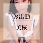 ヒメ日記 2025/02/28 11:03 投稿 美桜 Versailles