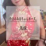 ヒメ日記 2025/03/11 21:43 投稿 美桜 Versailles