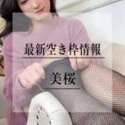 ヒメ日記 2025/03/16 20:19 投稿 美桜 Versailles