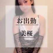 ヒメ日記 2025/03/25 10:58 投稿 美桜 Versailles