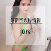 ヒメ日記 2025/03/29 20:09 投稿 美桜 Versailles