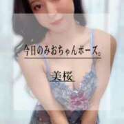 ヒメ日記 2025/03/31 20:10 投稿 美桜 Versailles