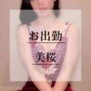 ヒメ日記 2025/04/01 11:09 投稿 美桜 Versailles