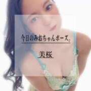 ヒメ日記 2025/04/01 21:39 投稿 美桜 Versailles