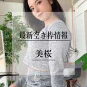 ヒメ日記 2025/04/04 20:19 投稿 美桜 Versailles