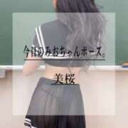 ヒメ日記 2025/04/04 21:49 投稿 美桜 Versailles