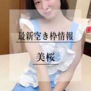 ヒメ日記 2025/04/11 20:22 投稿 美桜 Versailles