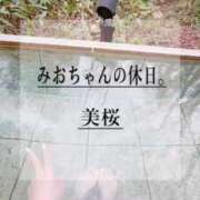 ヒメ日記 2025/04/13 12:25 投稿 美桜 Versailles