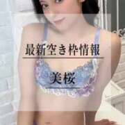 ヒメ日記 2025/04/14 20:19 投稿 美桜 Versailles