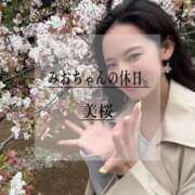 ヒメ日記 2025/04/16 12:24 投稿 美桜 Versailles