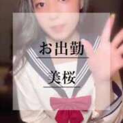 ヒメ日記 2025/04/20 10:59 投稿 美桜 Versailles