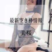 ヒメ日記 2025/05/04 20:11 投稿 美桜 Versailles