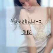 ヒメ日記 2025/05/17 21:41 投稿 美桜 Versailles