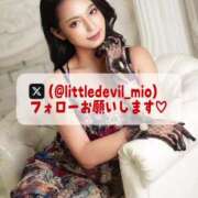 ヒメ日記 2025/05/20 18:11 投稿 美桜 Versailles